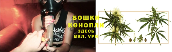 ECSTASY Баксан