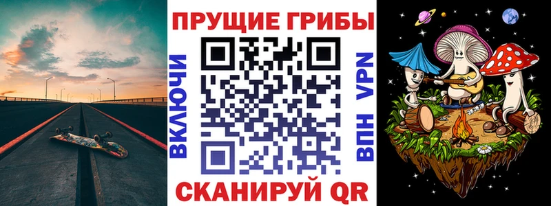 Псилоцибиновые грибы Cubensis  Могоча 